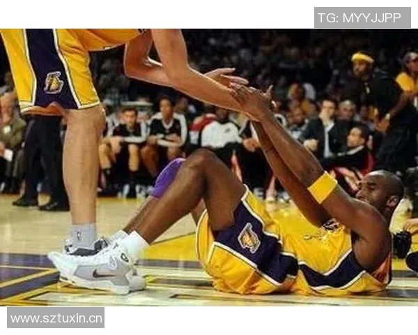 国王赛场细微举动引发热议球迷解读背后深意 国王赛场细微举动引发热议球迷解读背后深意