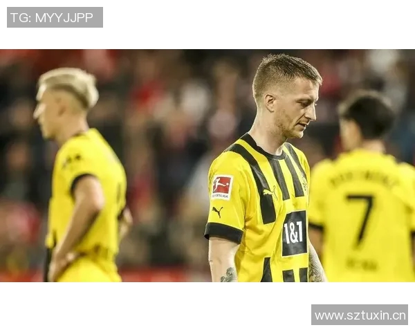 【深度解析】独行侠近况+未来走势预测 【深度解析】独行侠近况+未来走势预测